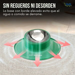 Stay Dish®: El plato que no se riega ni se mueve.