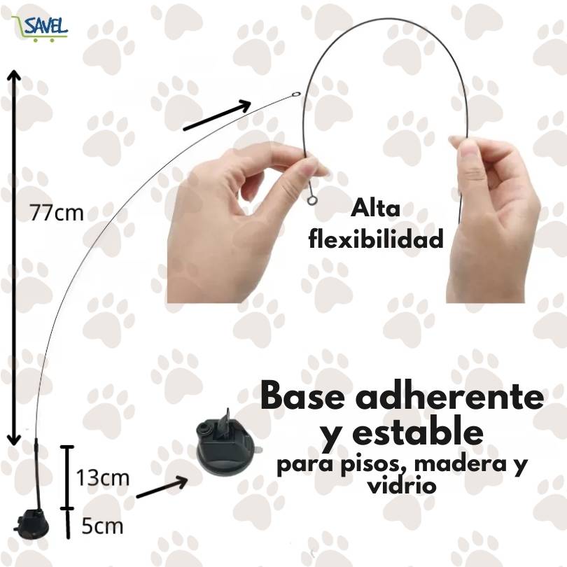 CatPlay®: Haz que tu gato esté entretenido incluso cuando no estás en casa
