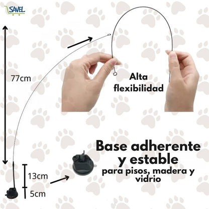 CatPlay®: Haz que tu gato esté entretenido incluso cuando no estás en casa