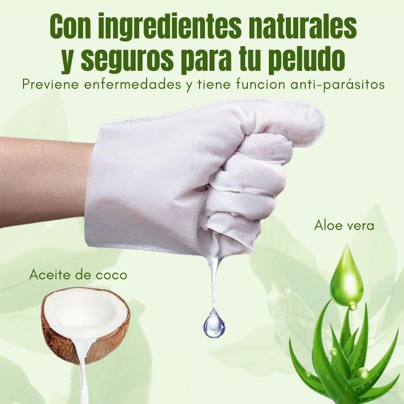 X50 Glove Wipes®: La forma más fácil y sin estrés de limpiar a tu mascota