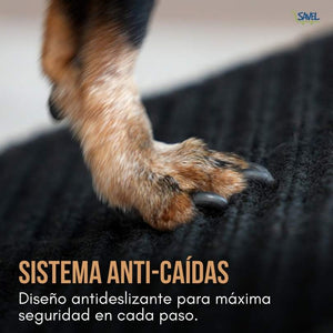 Paw Lift®: Felicidad e independencia para tu peludito