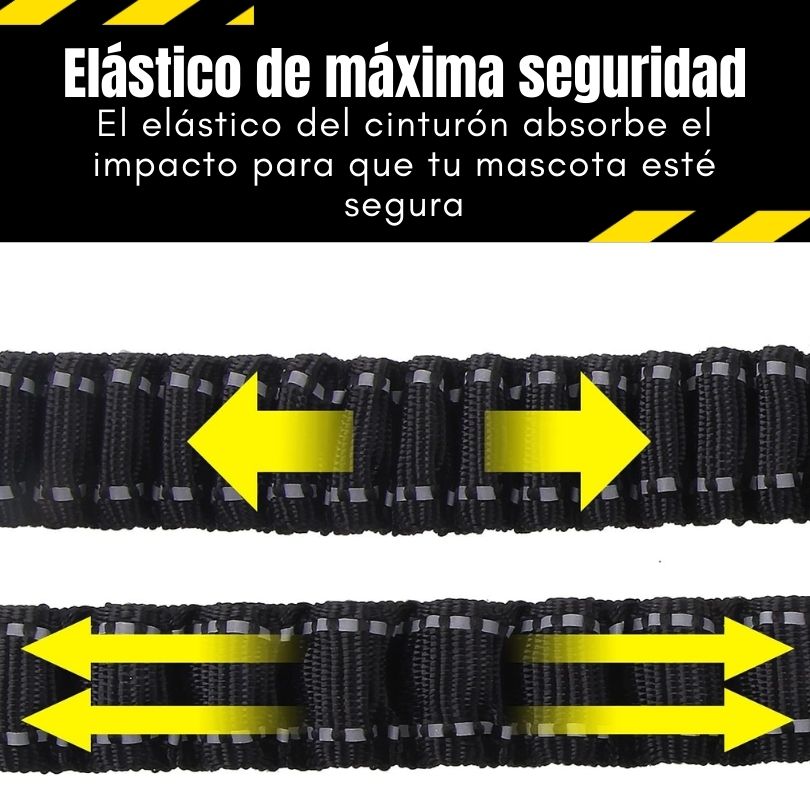 SafeStrap®: Dale a tu macota seguridad en el carro