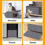ScrapCat®: Haz que tu gato pueda rascar sin dañar tus muebles