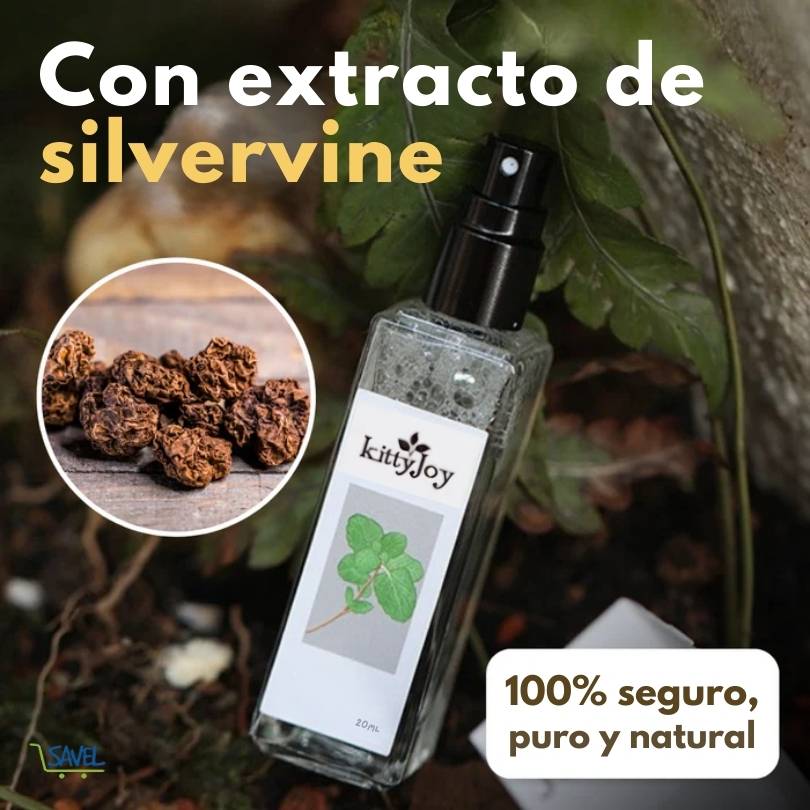 KittyJoy® 20ml: Haz que tu gato ame sus cosas