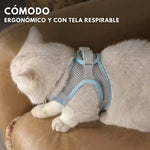 SafePaws®: Olvídate de collares básicos que lastiman a tu mascota