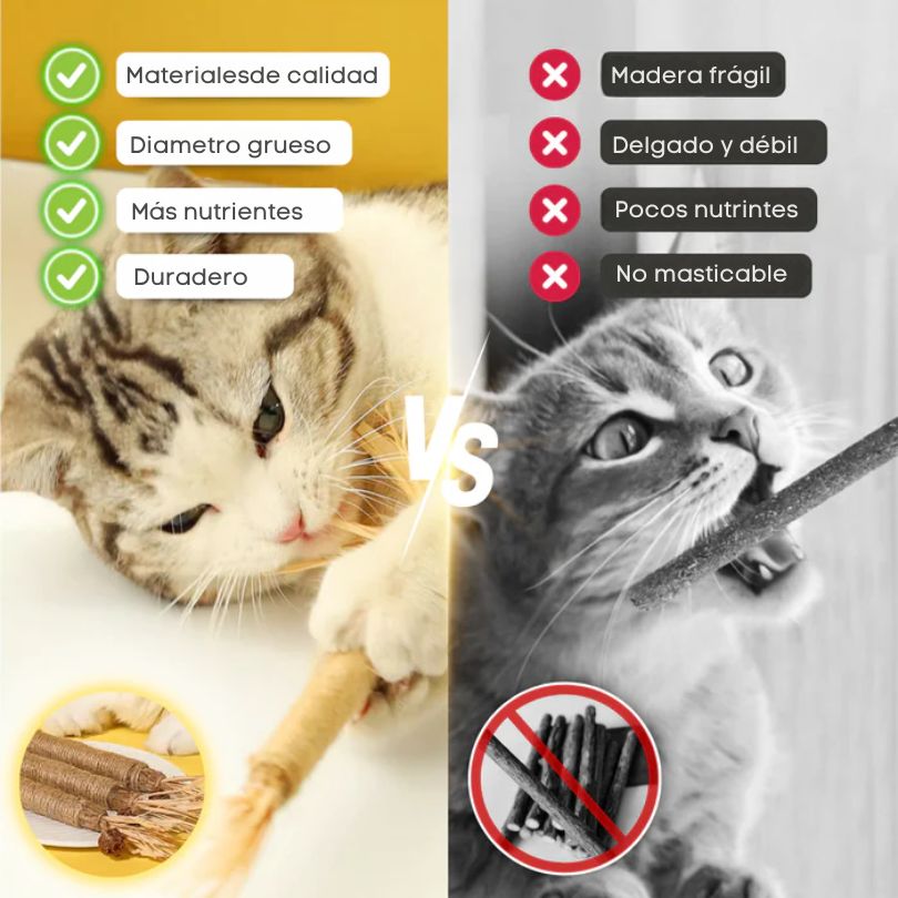 CatBite®: Cuida la salud dental de tu peludito