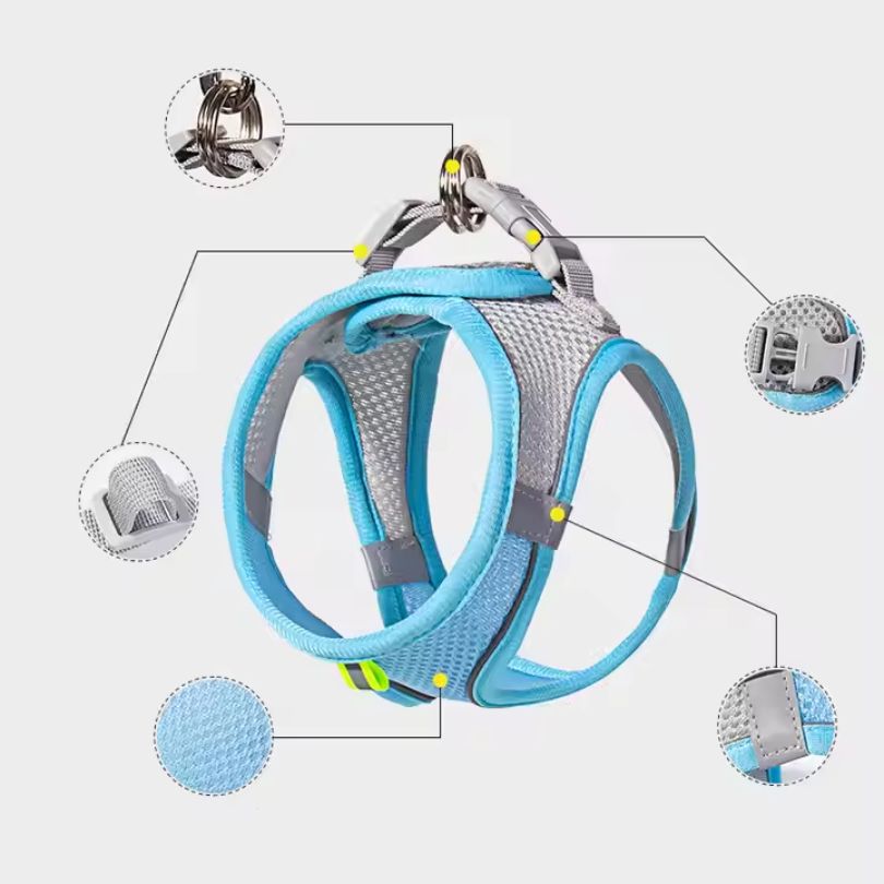 SafePaws®: Olvídate de collares básicos que lastiman a tu mascota