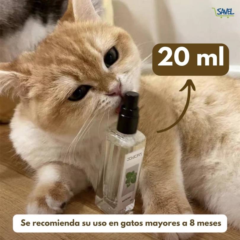 KittyJoy® 20ml: Haz que tu gato ame sus cosas