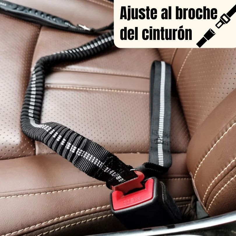 SafeStrap®: Dale a tu macota seguridad en el carro