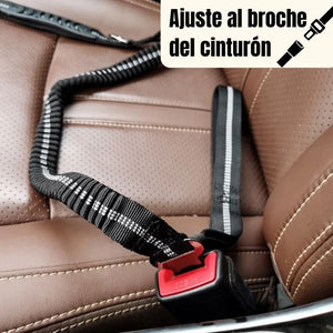 SafeStrap®: Dale a tu macota seguridad en el carro