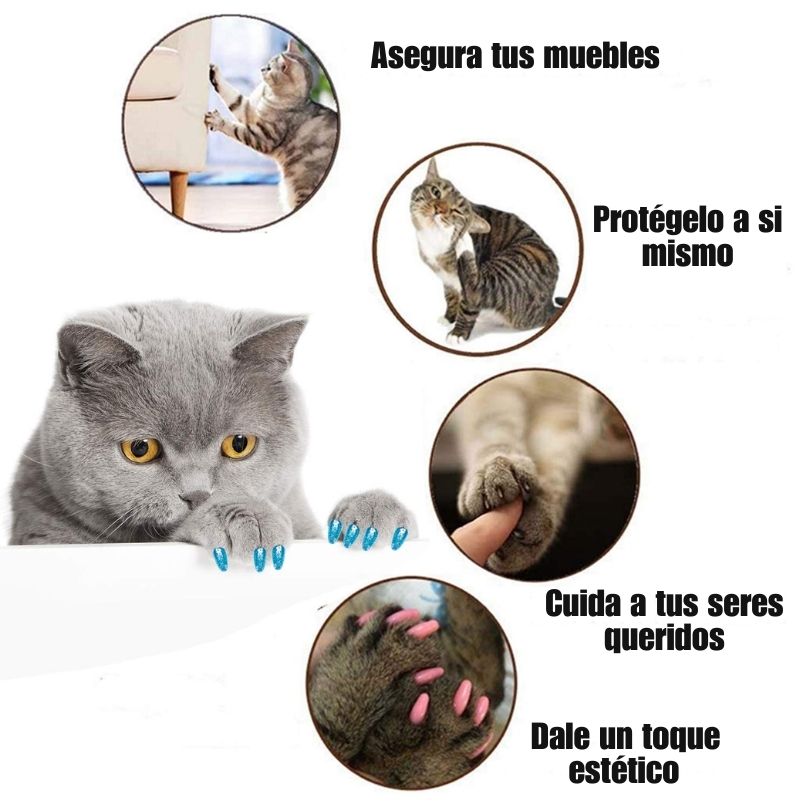 x20 NailProtect®: Cuída de las uñas de tu gato de manera segura