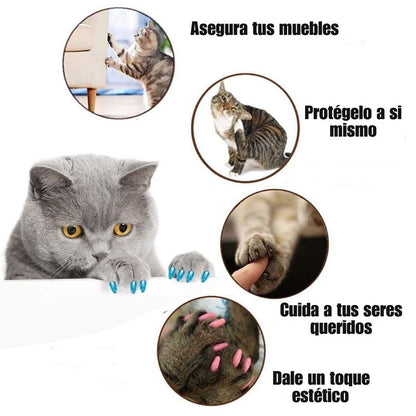 x20 NailProtect®: Cuída de las uñas de tu gato de manera segura