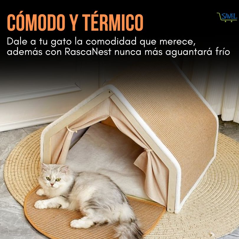 RascaNest®: El lugar seguro que tu hijo peludo necesita