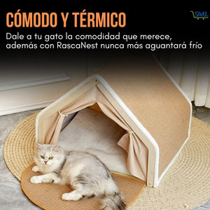 RascaNest®: El lugar seguro que tu hijo peludo necesita