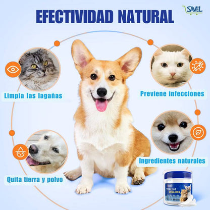 FingerWipes Pro®: Dale el mejor cuidado a los ojos de tu peludito