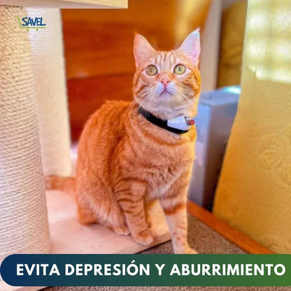 PawLazer®: Horas de diversión para tu gato incluso cuando no estés