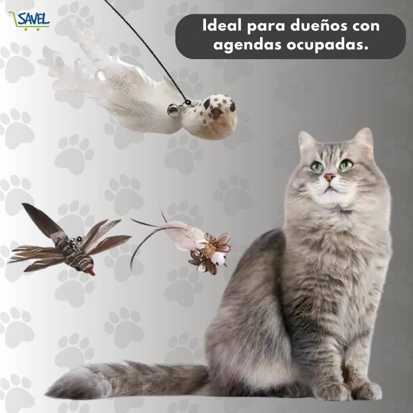 CatPlay®: Haz que tu gato esté entretenido incluso cuando no estás en casa
