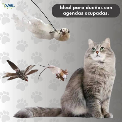 CatPlay®: Haz que tu gato esté entretenido incluso cuando no estás en casa