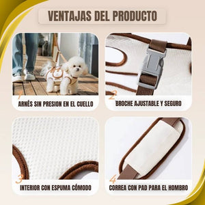 CarryPaws®: Lleva a tu peludo siempre contigo