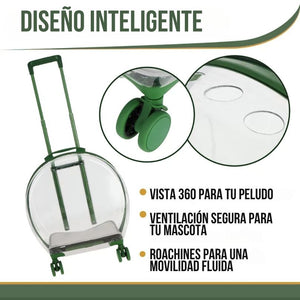 PawView®: Olvídate de paseos inseguros y con estrés
