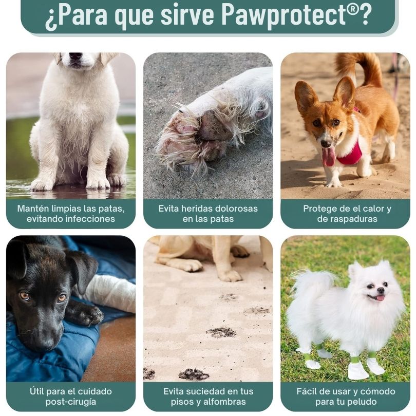 PawProtect®: Máxima protección para las patas de tu mascota