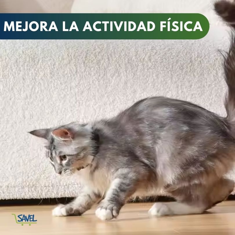 PawLazer®: Horas de diversión para tu gato incluso cuando no estés