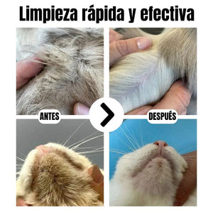 X50 Glove Wipes®: La forma más fácil y sin estrés de limpiar a tu mascota