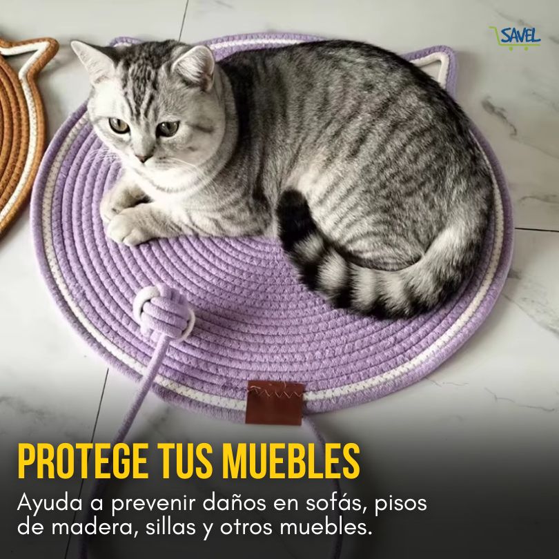 ScratchNest®: Dale a tu gato el rascador que se merece