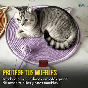 ScratchNest®: Dale a tu gato el rascador que se merece