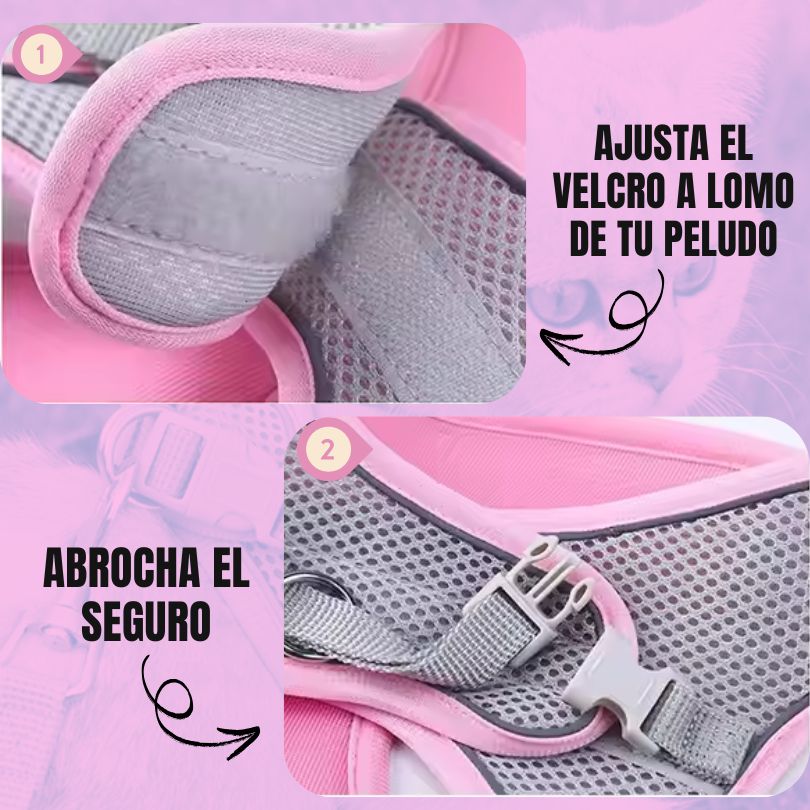 SafePaws®: Olvídate de collares básicos que lastiman a tu mascota