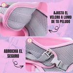 SafePaws®: Olvídate de collares básicos que lastiman a tu mascota