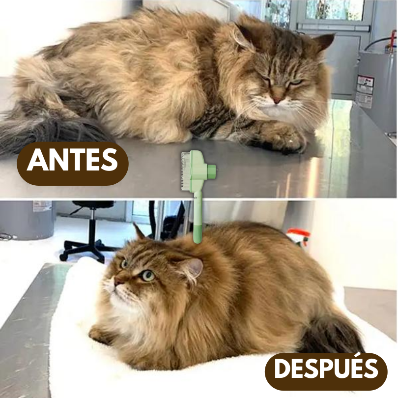 SmartBrush®: Cuida a tu peludo de pulgas y mugre acumulado