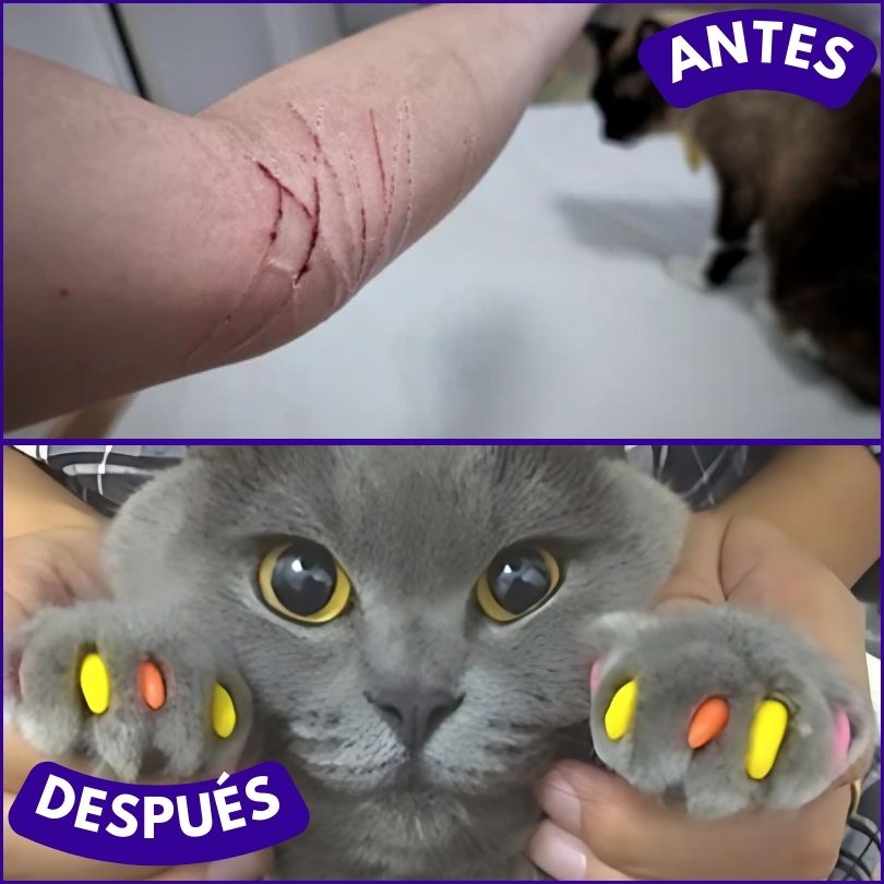 x20 NailProtect®: Cuída de las uñas de tu gato de manera segura