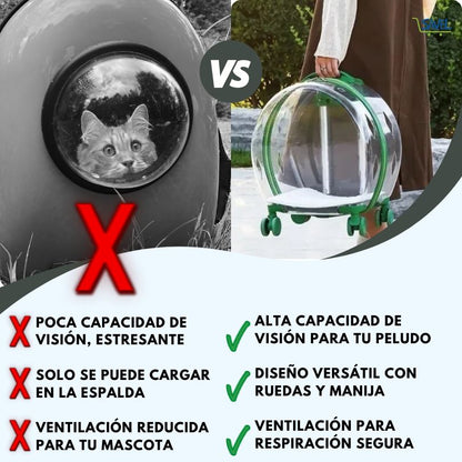 PawView®: Olvídate de paseos inseguros y con estrés