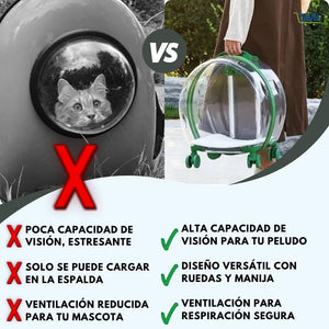 PawView®: Olvídate de paseos inseguros y con estrés