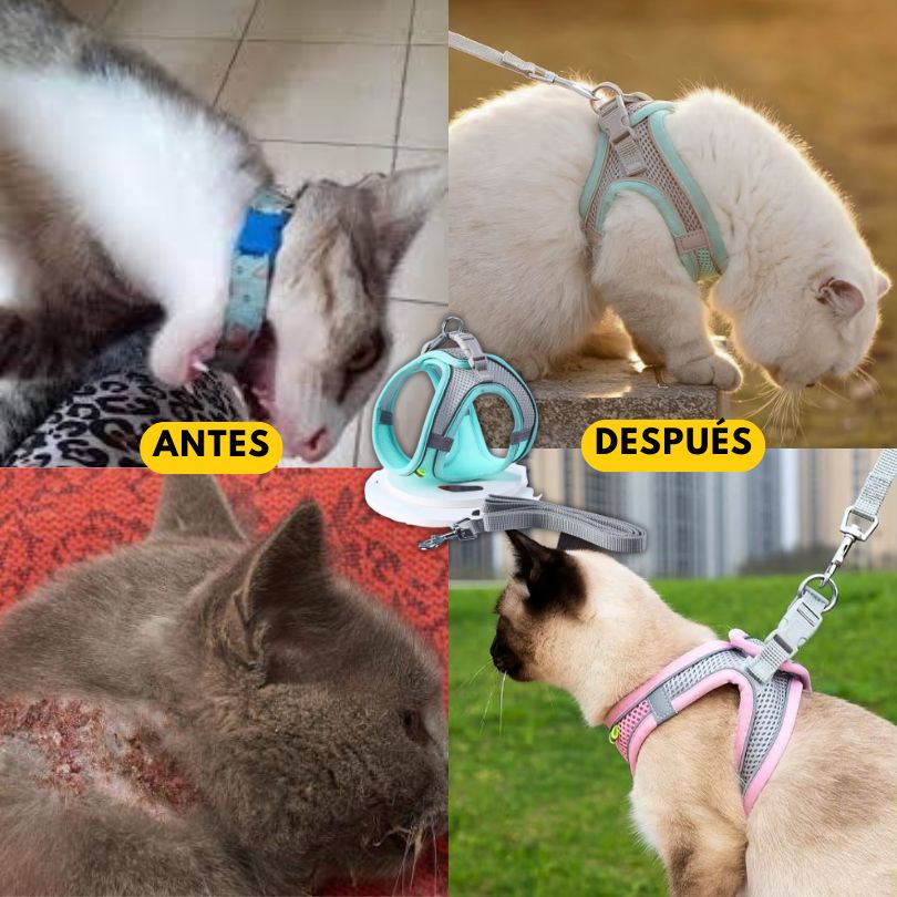 SafePaws®: Olvídate de collares básicos que lastiman a tu mascota