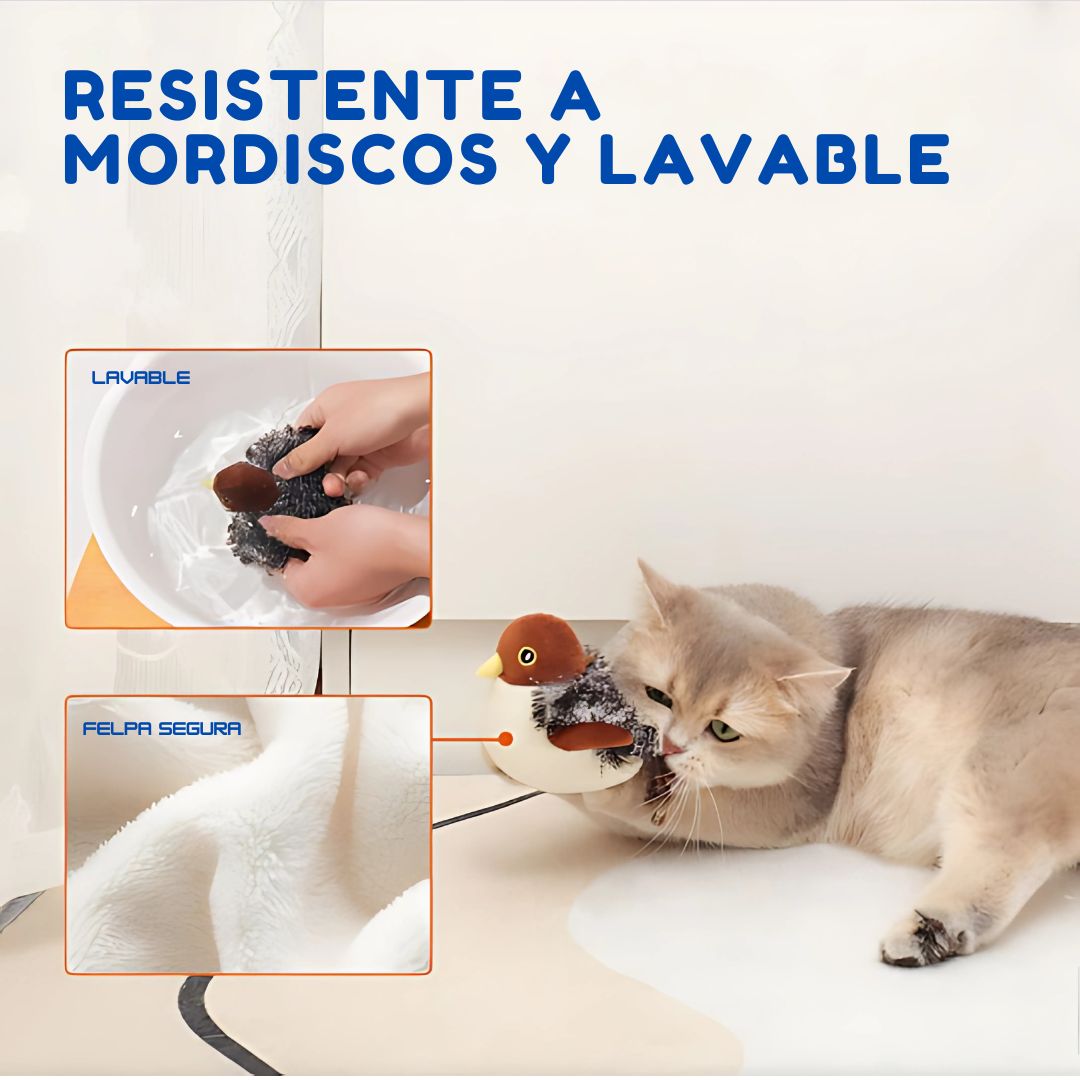 FelinSound®: Calma la agresividad de tu gato