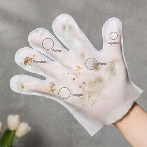 X50 Glove Wipes®: La forma más fácil y sin estrés de limpiar a tu mascota