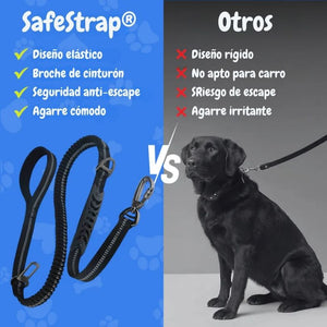 SafeStrap®: Dale a tu macota seguridad en el carro