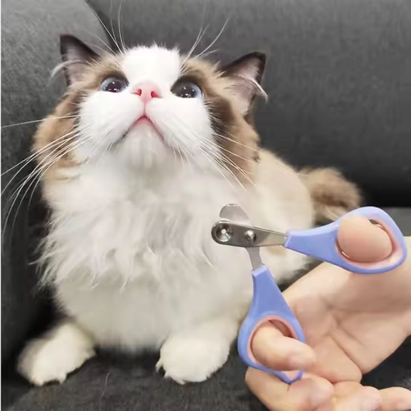 Pet NailCare®: Cuida las uñas de tu peludito