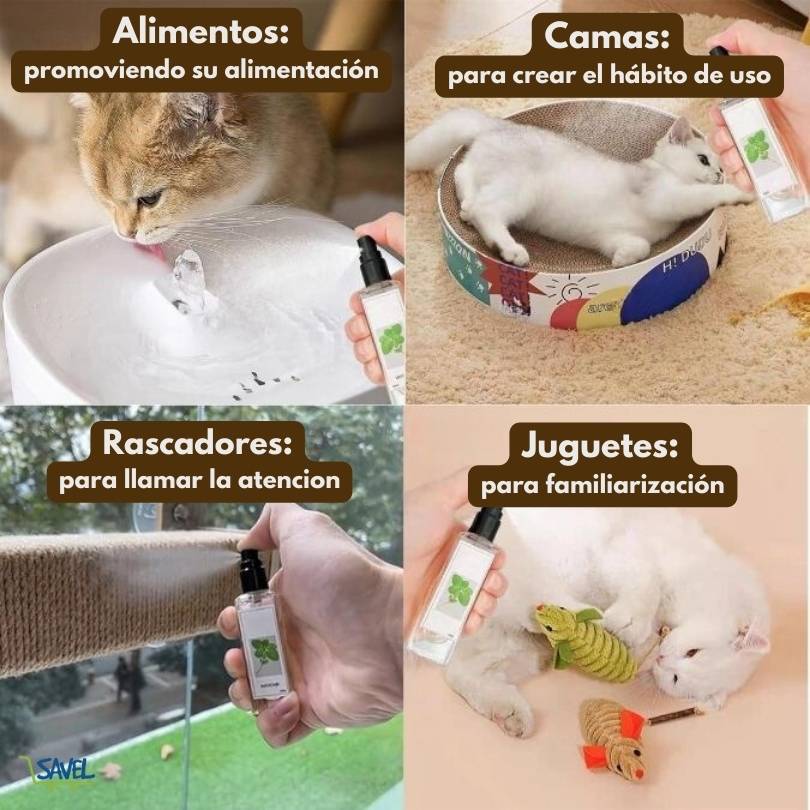 KittyJoy® 20ml: Haz que tu gato ame sus cosas