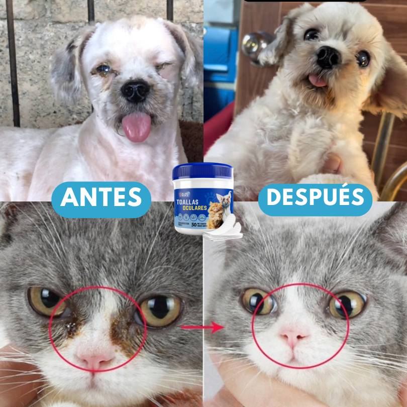 FingerWipes Pro®: Dale el mejor cuidado a los ojos de tu peludito