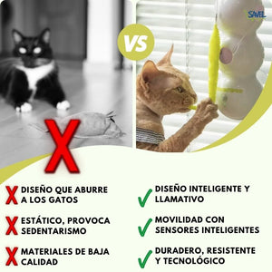 HuntWall®: Despierta el instinto cazador de tu gato