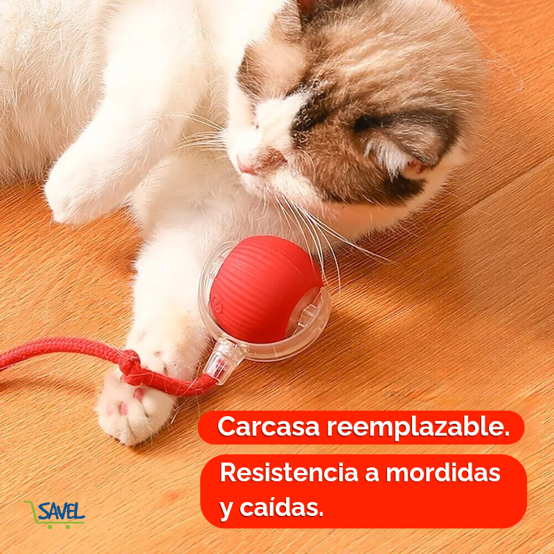 Pet Chase Eléctrica: entretiene y ejercita a tu mascota
