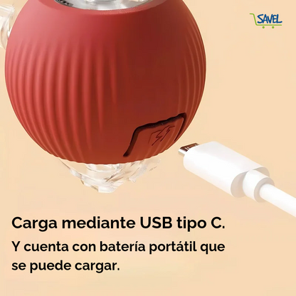 Pet Chase Eléctrica: entretiene y ejercita a tu mascota