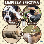 FoamFlow®: La mejor forma de bañar a tu mascota