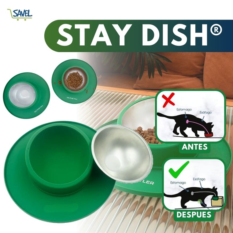 Stay Dish®: El plato que no se riega ni se mueve.