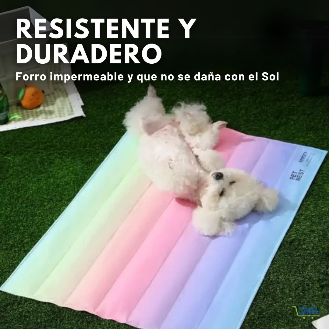 CoolNest®: Una cama refrigerante y cómoda para tu mascota