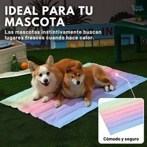 CoolNest®: Una cama refrigerante y cómoda para tu mascota