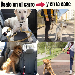 SafeStrap®: Dale a tu macota seguridad en el carro